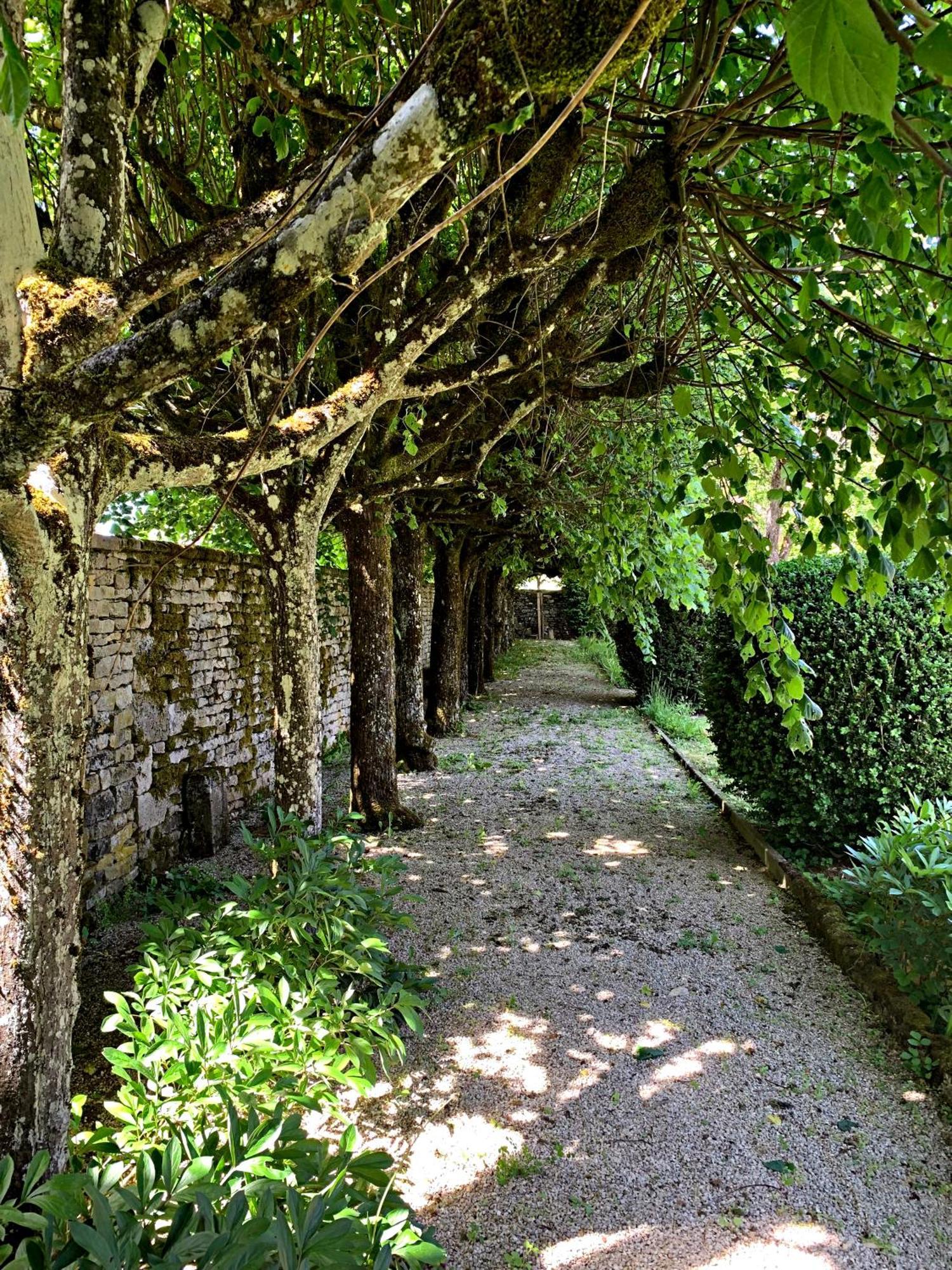 Le Clos Du Marronnier Rivieres-les-Fosses Εξωτερικό φωτογραφία